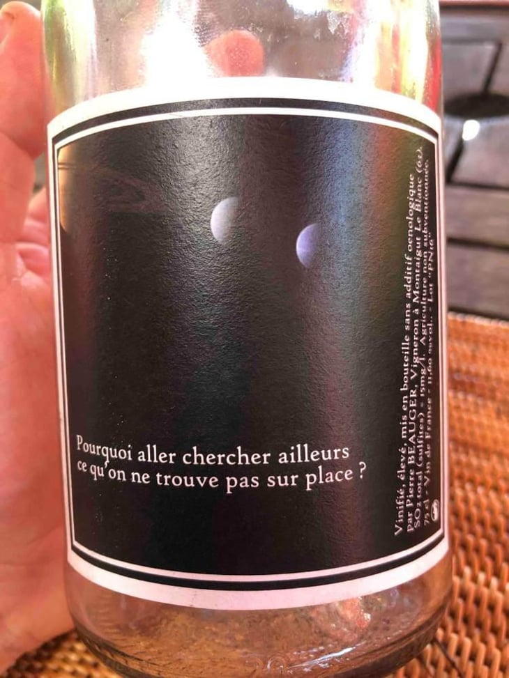 Pourquoi Aller Chercher Ailleurs Ce Qu'on Ne Trouve Pas Sur Place - Pierre Beauger - Pierre Beauger 