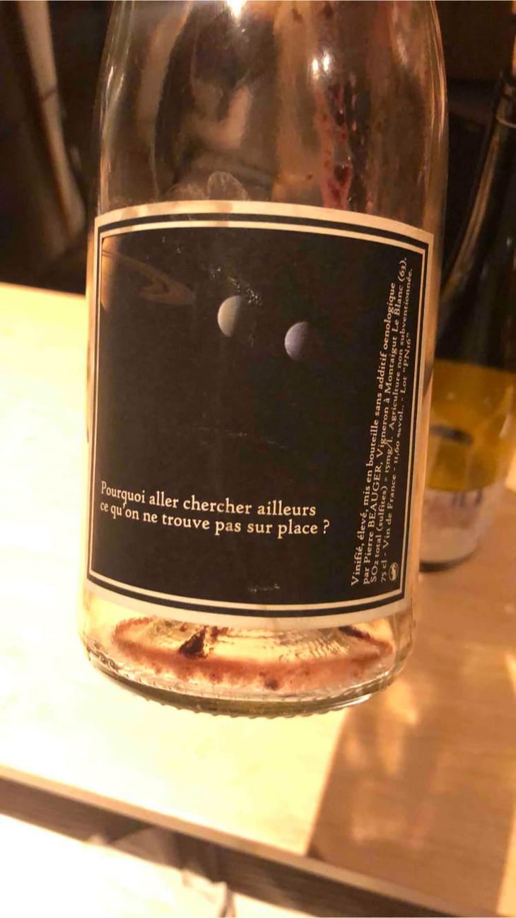 Pourquoi Aller Chercher Ailleurs Ce Qu'on Ne Trouve Pas Sur Place - Pierre Beauger - Pierre Beauger 
