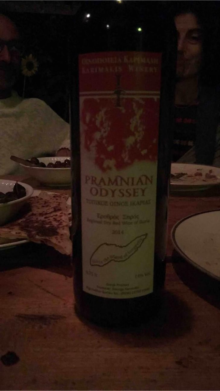 Pramnian Odyssey - Karimalis Winery - George & Iliana Karimali 