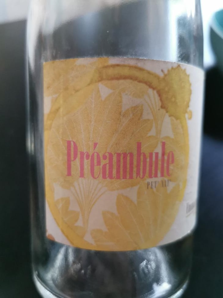 Preambule - Emmanuel Haget - Emmanuel Haget 