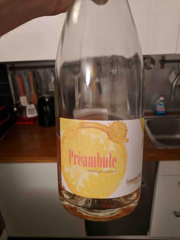 Preambule - Emmanuel Haget - Emmanuel Haget 