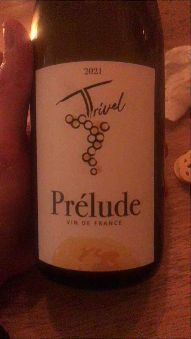 Prélude - Domaine de Trivel - Sidonie Joggerst & Thomas Guillon 