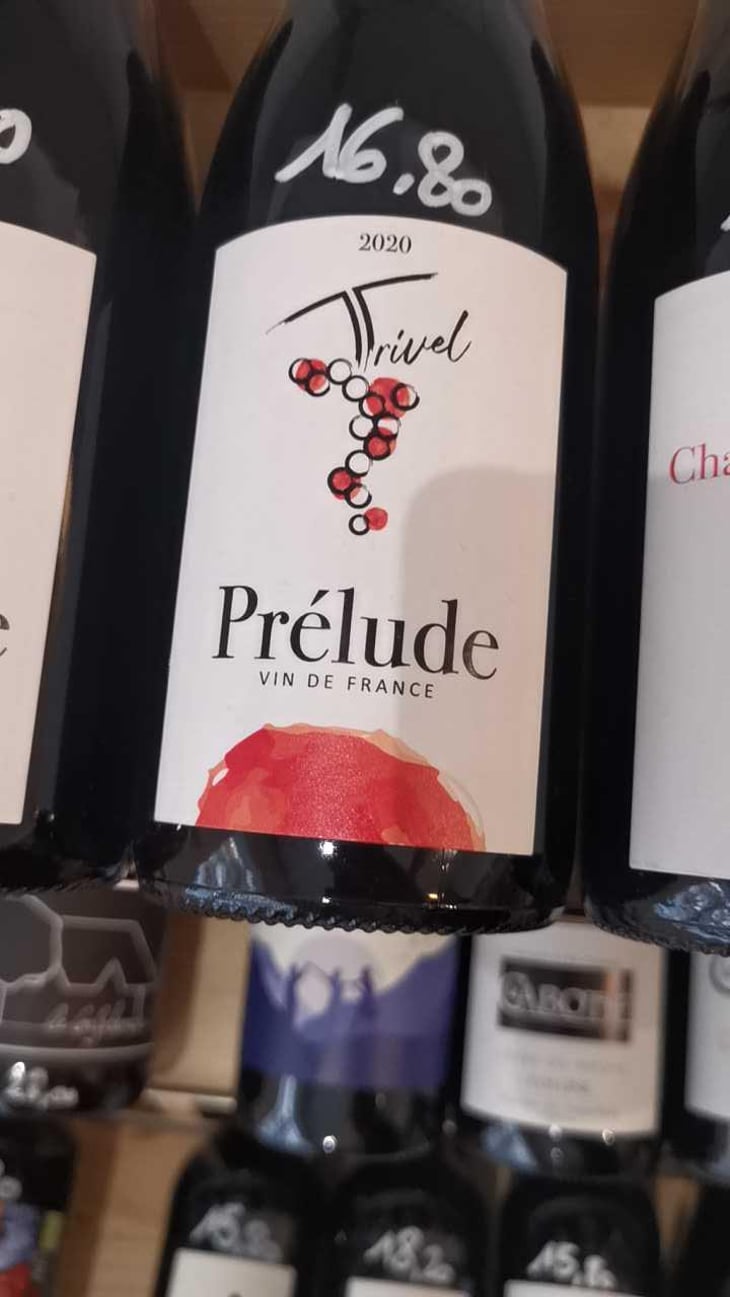 Prélude - Domaine de Trivel - Sidonie Joggerst & Thomas Guillon 
