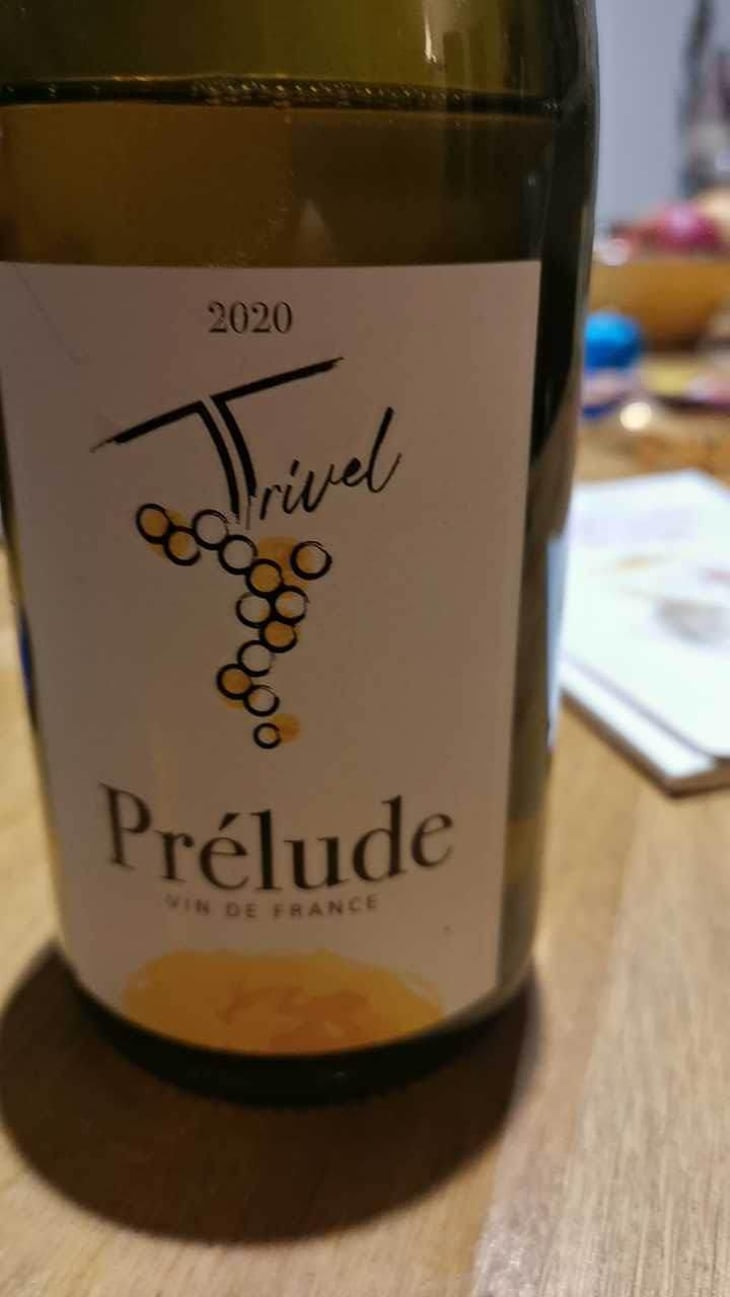 Prélude - Domaine de Trivel - Sidonie Joggerst & Thomas Guillon 