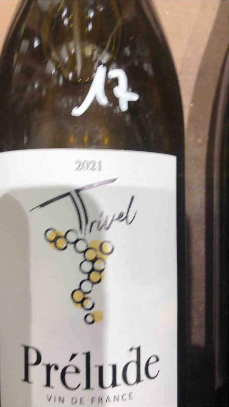 Prélude - Domaine de Trivel - Sidonie Joggerst & Thomas Guillon 