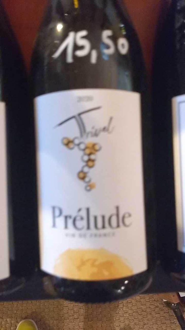 Prélude - Domaine de Trivel - Sidonie Joggerst & Thomas Guillon 
