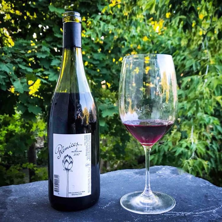 Prémices - Domaine de Botheland - Rémi Dufaitre & Laurence Liatard 