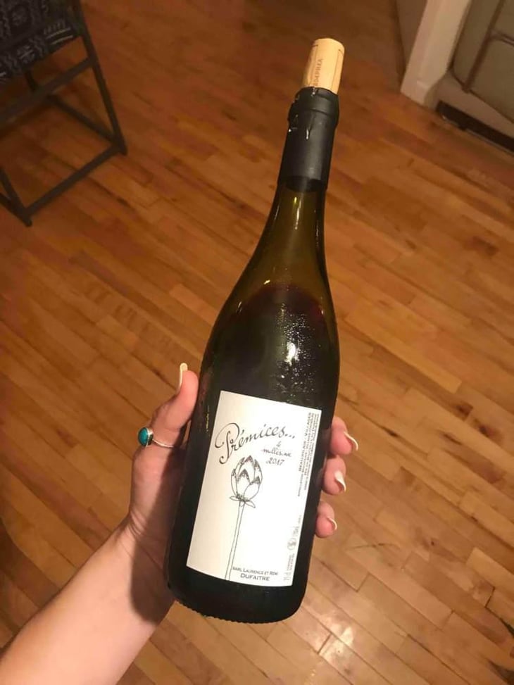 Prémices - Domaine de Botheland - Rémi Dufaitre & Laurence Liatard 