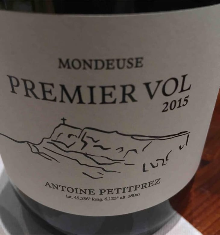 Premier Vol - Uliz - Antoine Petitprez 