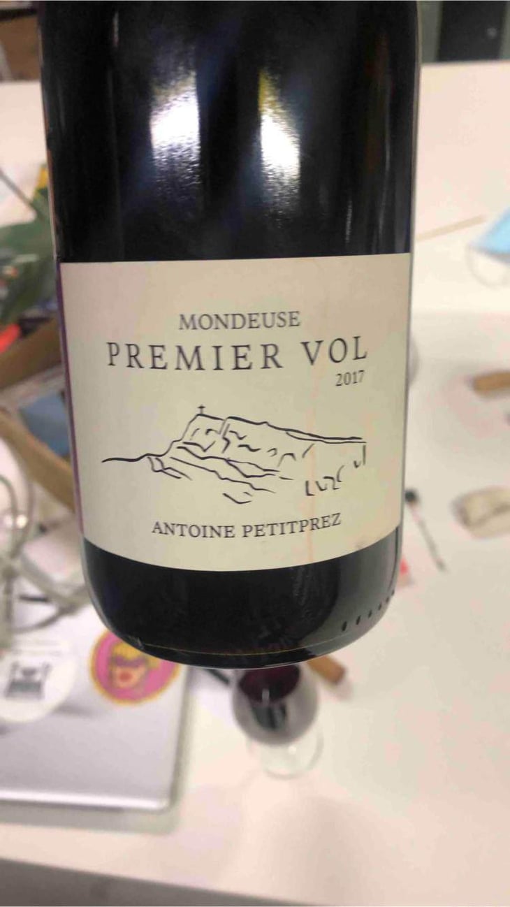 Premier Vol - Uliz - Antoine Petitprez 