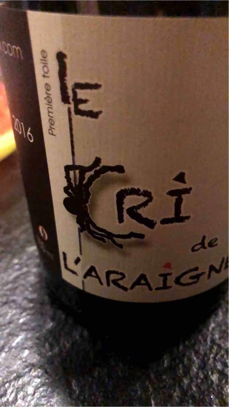 Première Toile - Le Cri de L'Araignée - Olivier Trombetta 