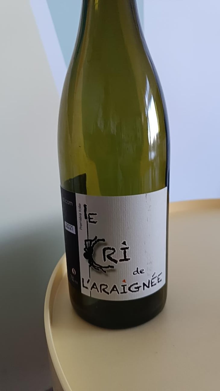 Première Toile - Le Cri de L'Araignée - Olivier Trombetta 