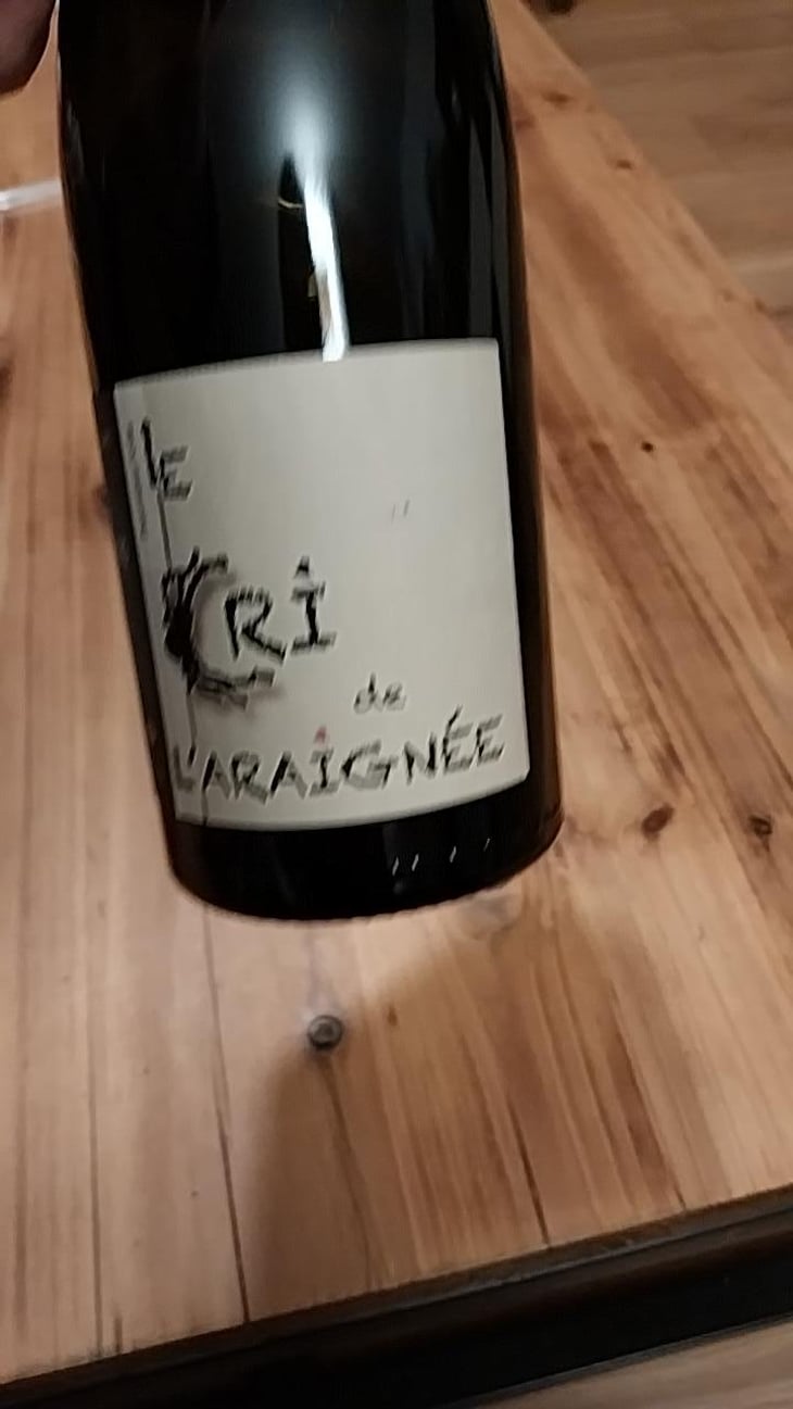 Première Toile - Le Cri de L'Araignée - Olivier Trombetta 