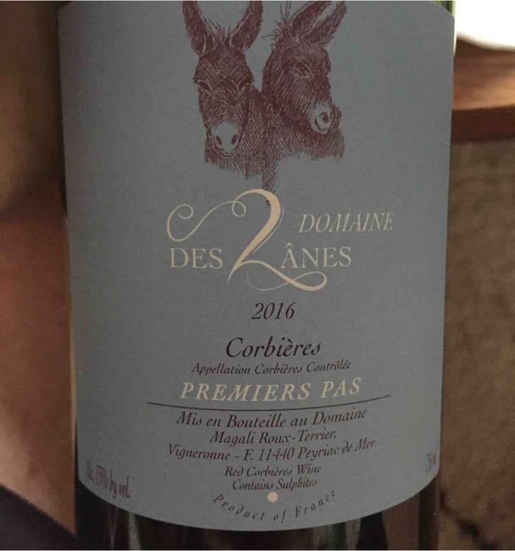 Premiers Pas - Domaine des 2 Ânes - Magali Roux 