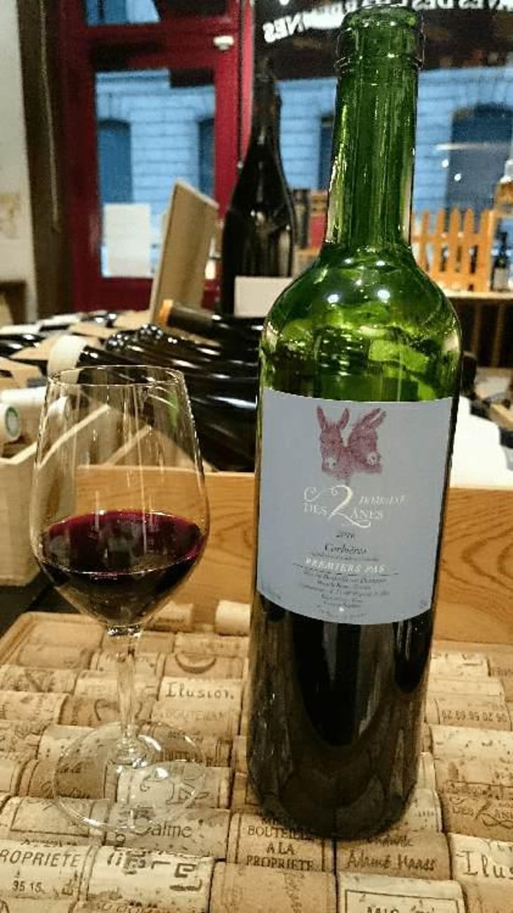 Premiers Pas - Domaine des 2 Ânes - Magali Roux 