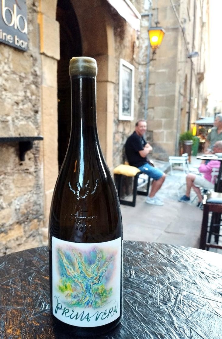 Primavera - I Vigneri - Salvo Foti -2021