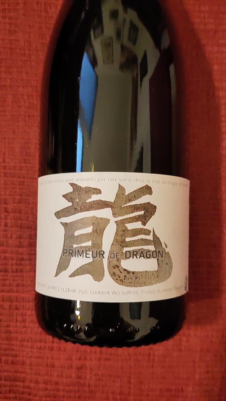 Primeur de Dragon - Le Mas Du Dragon De Pierres - Yoko Ogawa -2023
