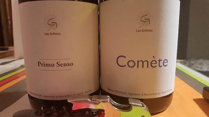 Primo Senso Rouge - Clos des Grillons - Nicolas Renaud 