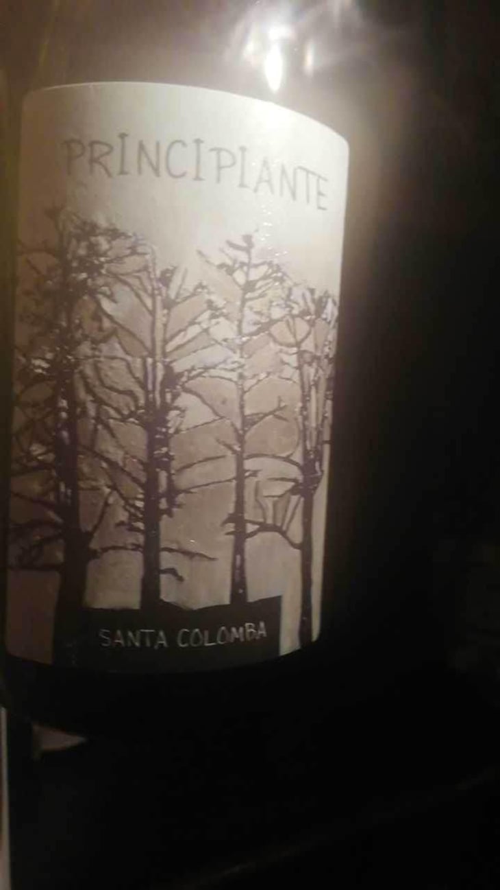 Principiante - Azienda Agricola Santa Colomba - Marco Dani & Gianfranco Mistrorigo 