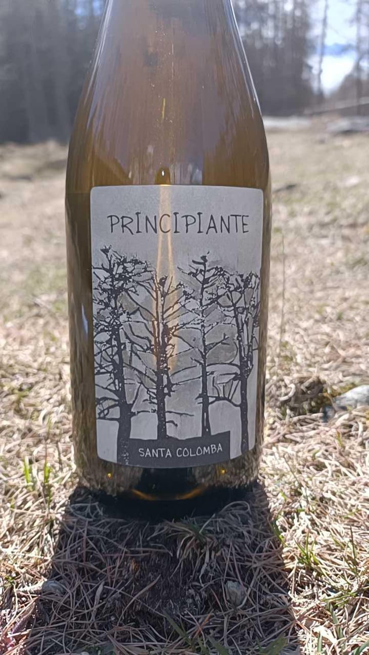 Principiante - Azienda Agricola Santa Colomba - Marco Dani & Gianfranco Mistrorigo 