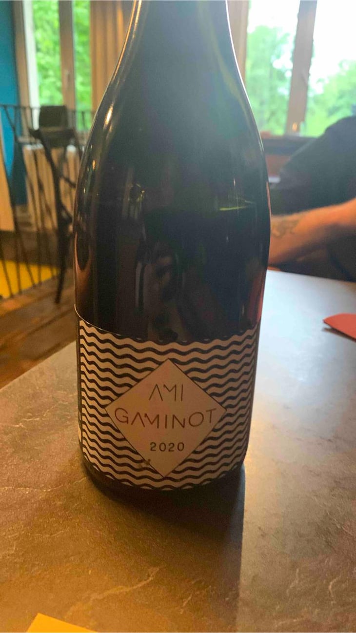 Le Gaminot - Domaine Ami - Paul Marchand-Perarnau & Willy Roulendes 