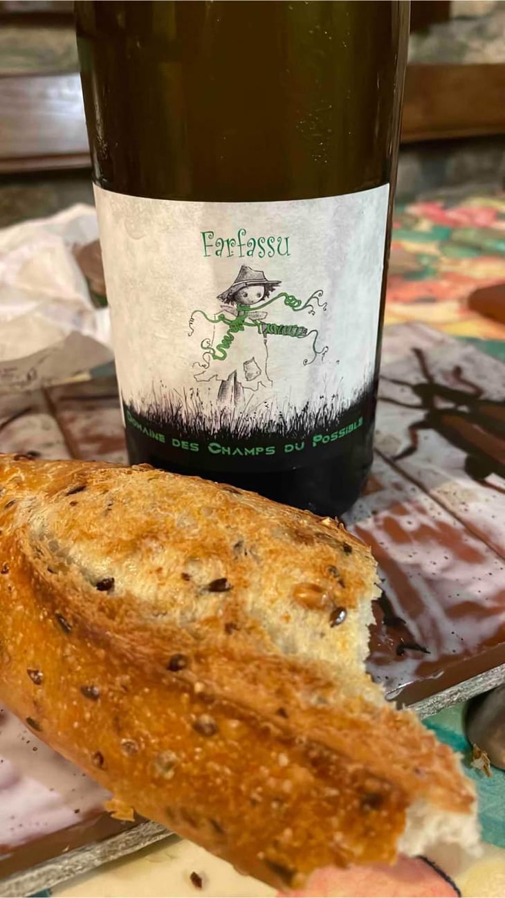 Farfassu - Domaine des Champs Du Possible - Ludovic Fayolle -2021