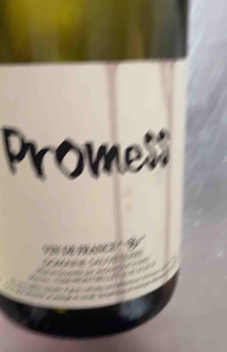 Promess - Domaine Sauveterre - Ghislaine & Jerôme Guichard 