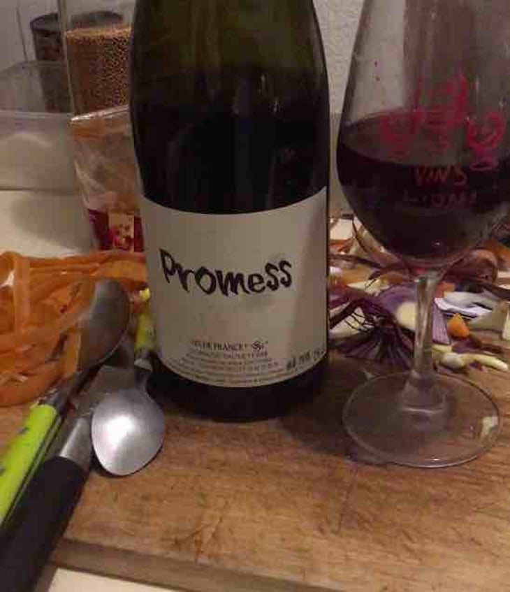 Promess - Domaine Sauveterre - Ghislaine & Jerôme Guichard 