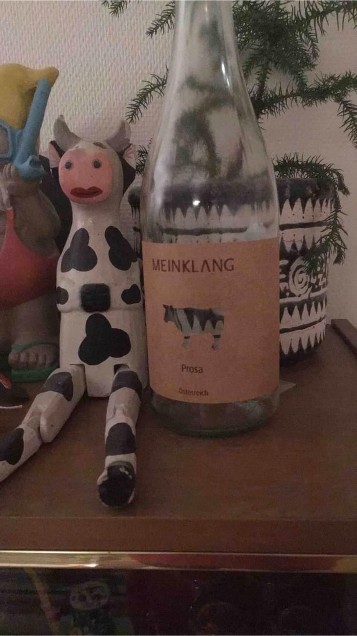Prosa - Meinklang - Weingut Michlits - Angela & Werner Michlits 