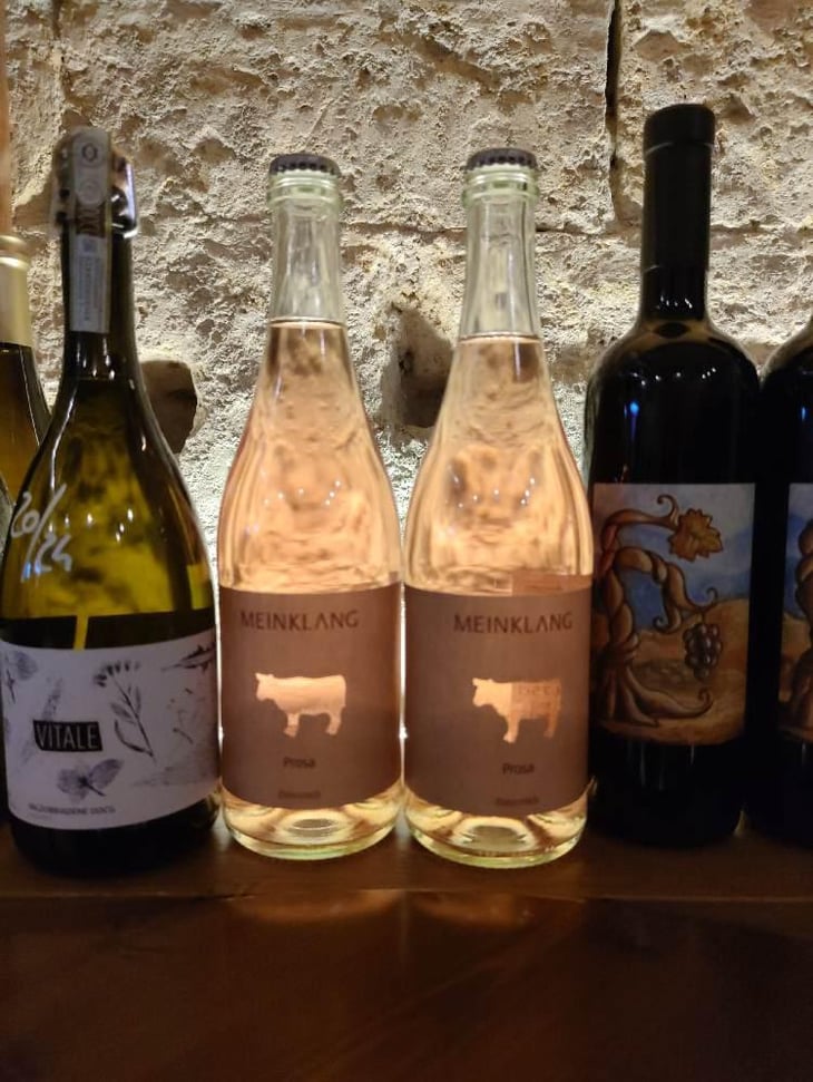 Prosa - Meinklang - Weingut Michlits - Angela & Werner Michlits 