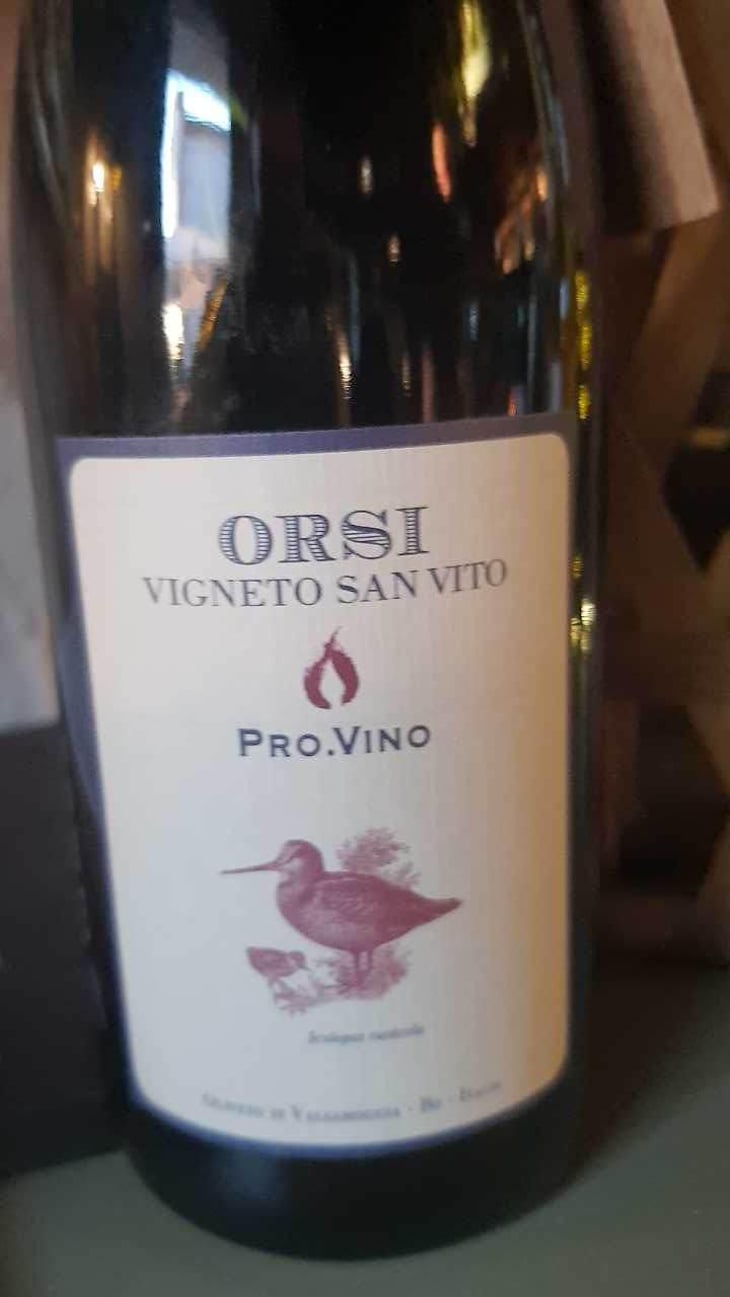 Pro.Vino - Orsi Vigneto San Vito - Federico Orsi 