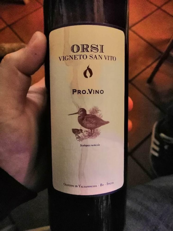 Pro.Vino - Orsi Vigneto San Vito - Federico Orsi 