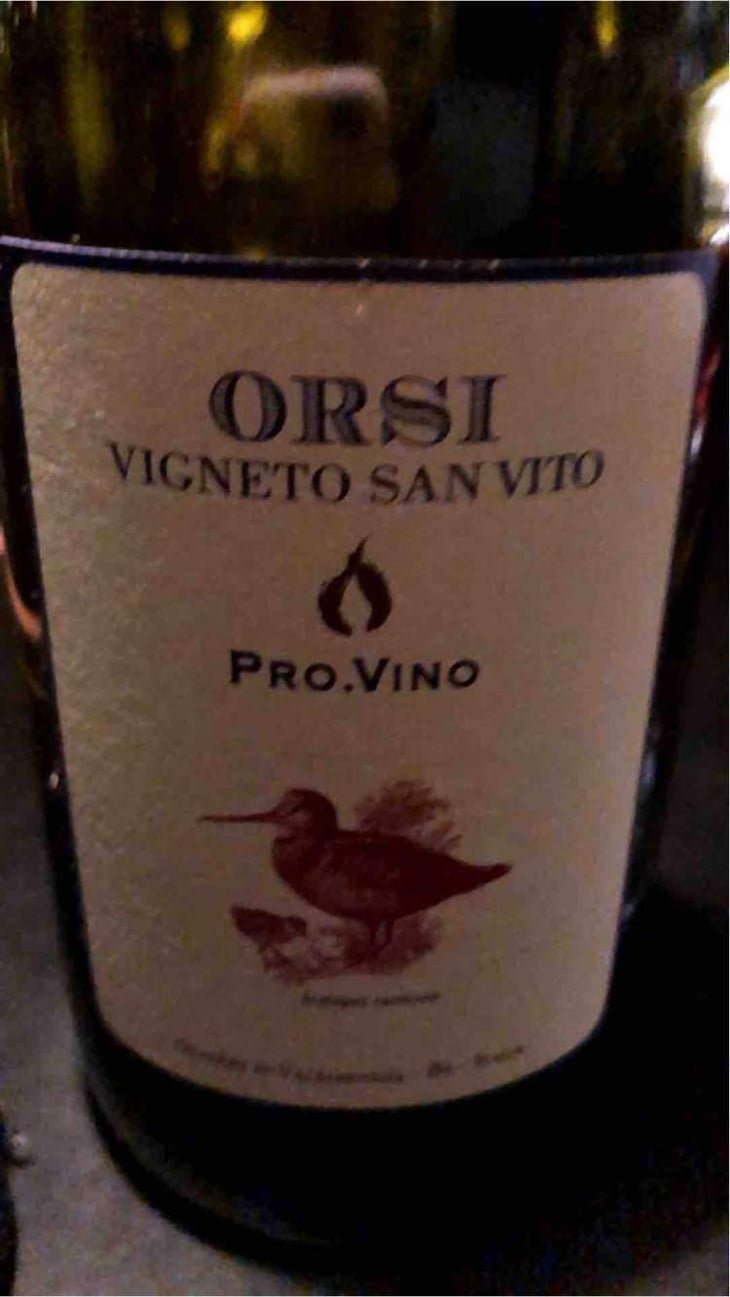 Pro.Vino - Orsi Vigneto San Vito - Federico Orsi 