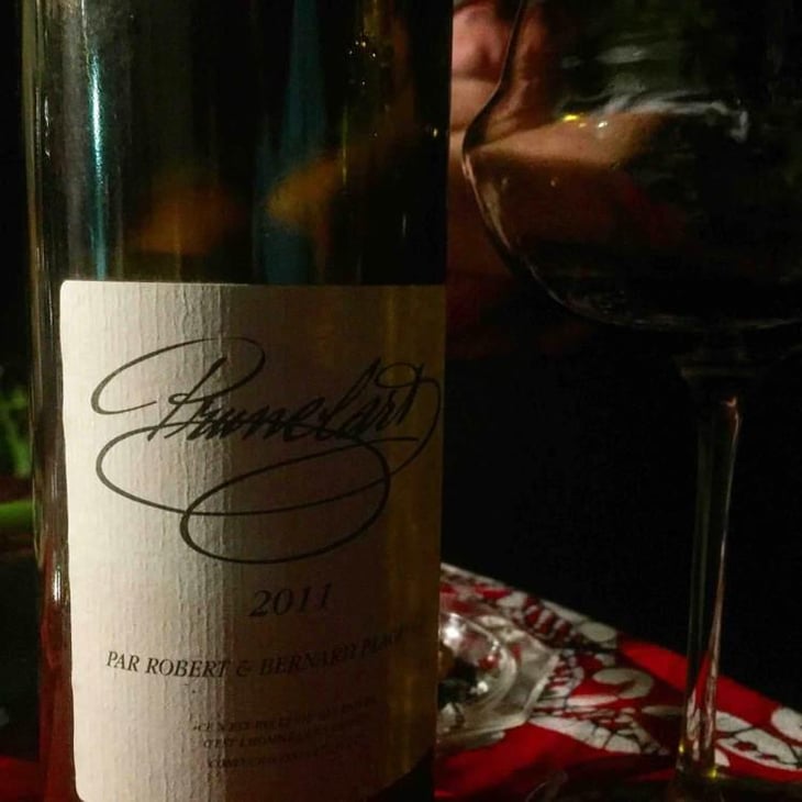 Prunelart - Domaine Plageoles - Bernard, Florent & Romain Plageoles 