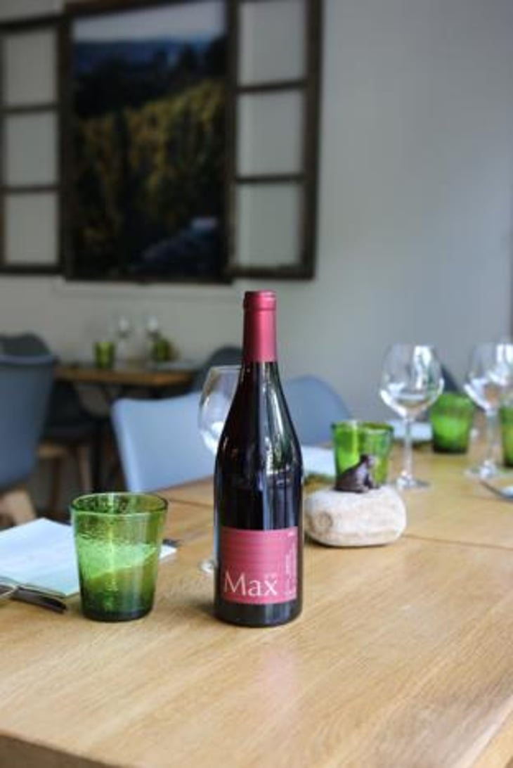 P'tit Max - Domaine Guy Breton - P'tit Max - Guy Breton 