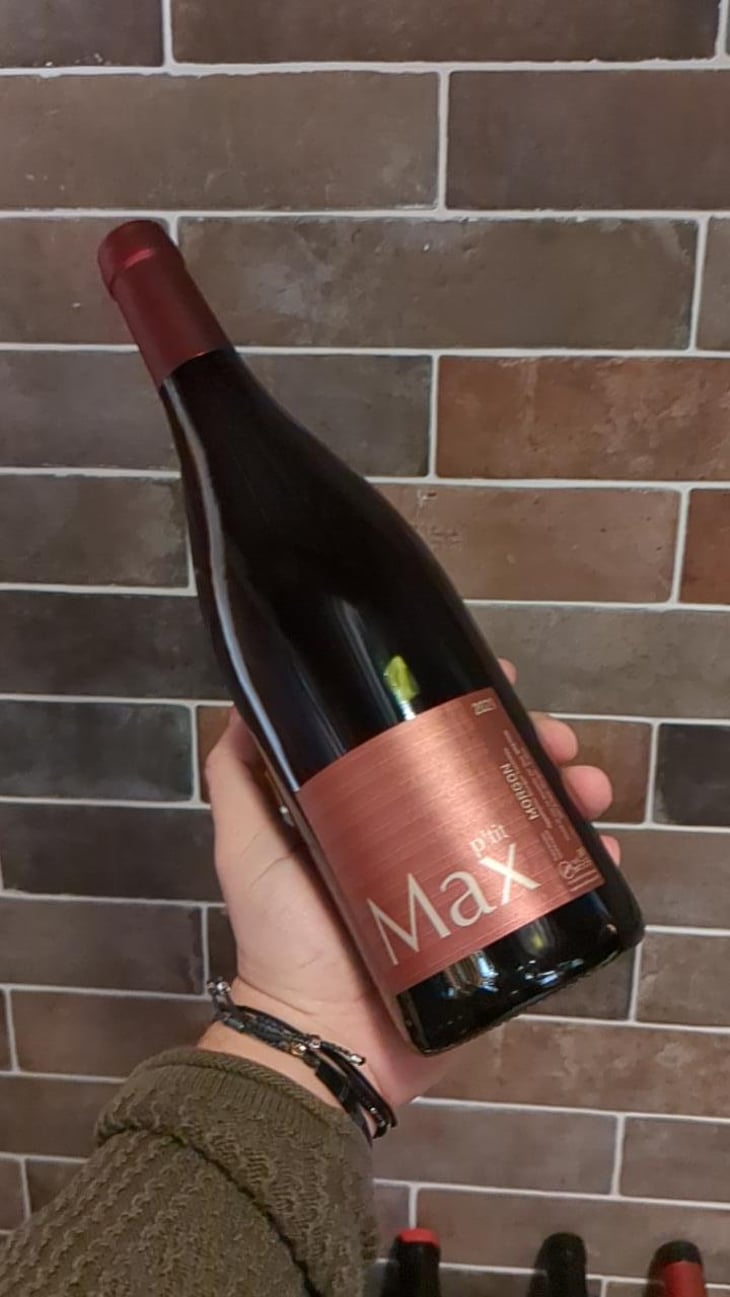 P'tit Max - Domaine Guy Breton - P'tit Max - Guy Breton 