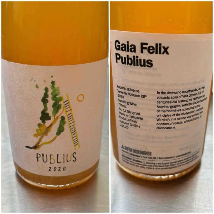 Publius - Gaia Felix - Michele Lorenzetti -2020