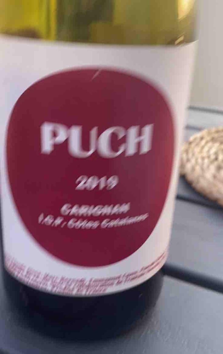 Puch - Vignes du Puch - Christophe Smith 