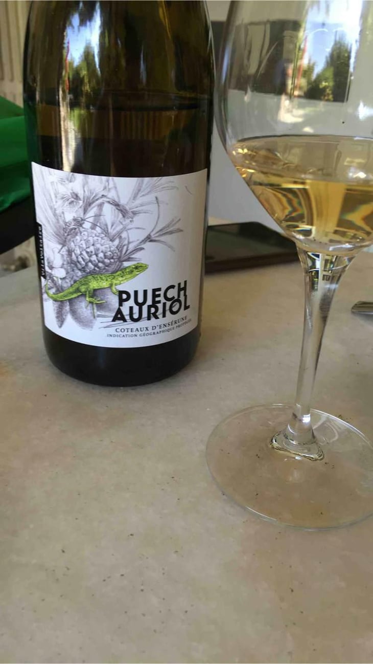 Puech Auriol - Vila Voltaire - Famille Garidou & Yerlé -2021