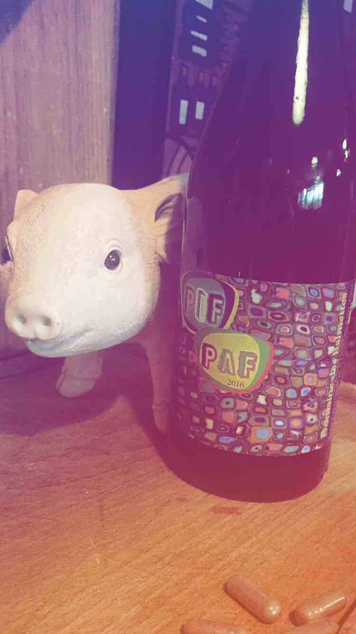 Pif Paf - Domaine des Balmettes - Lucien Salani 