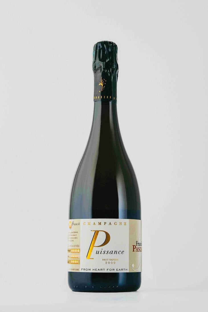 Puissance - Franck Pascal - Franck & Isabelle Pascal -2009