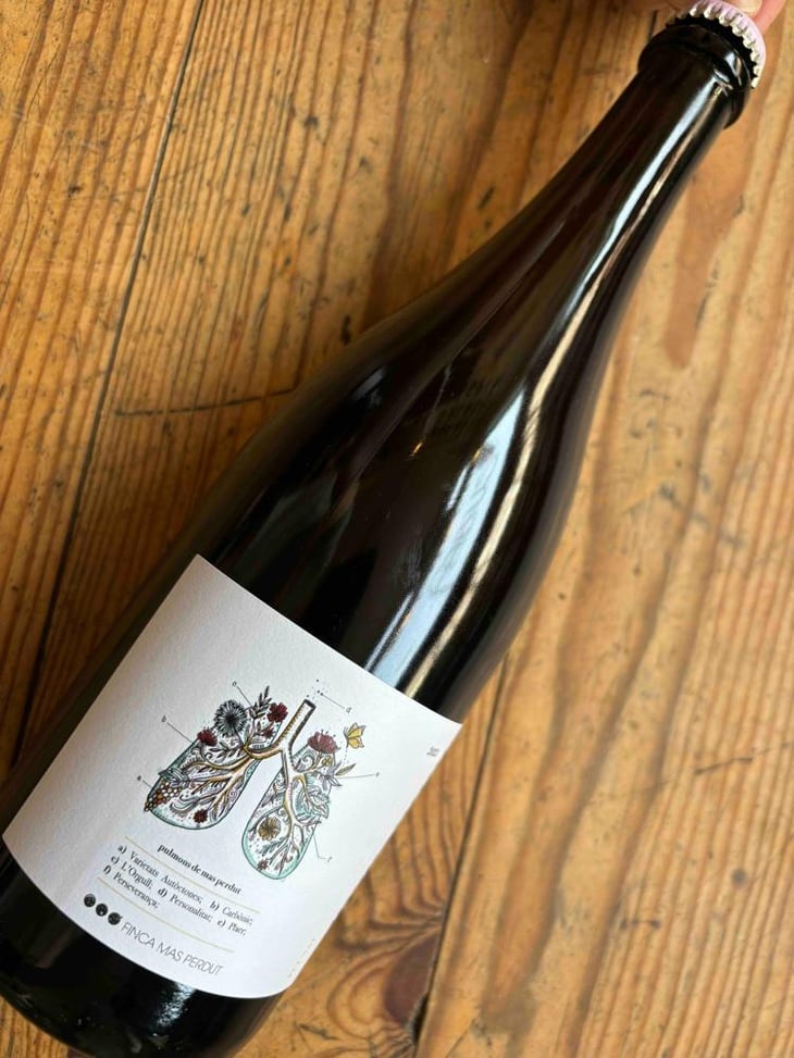 Pulmò de Mas Perdut - Finca Mas Perdut - Josep i Rebeca 