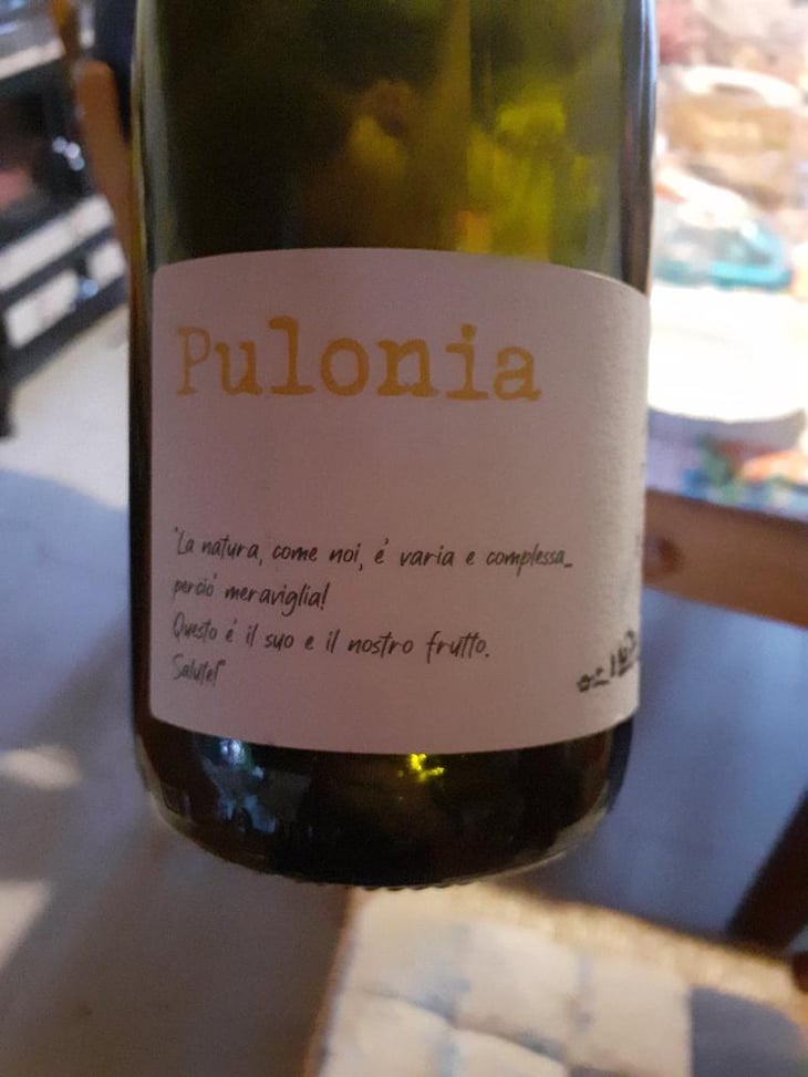 Pulonia - Angol d'Amig - Marco Lanzotti 