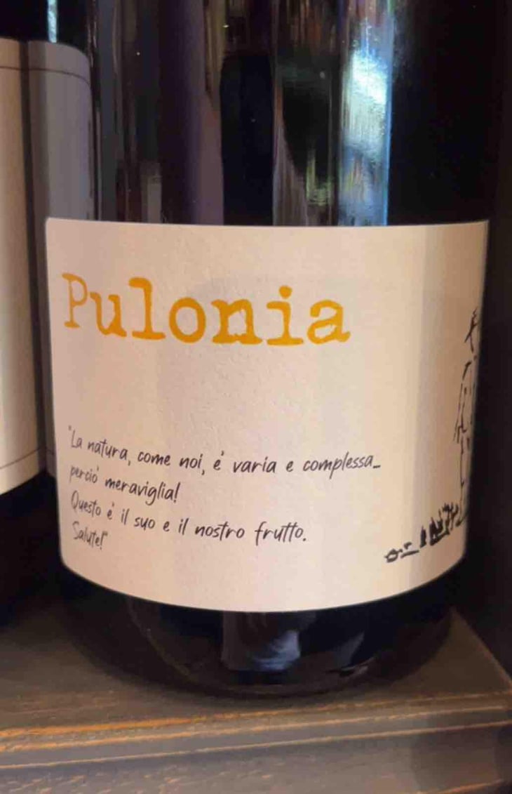 Pulonia - Angol d'Amig - Marco Lanzotti 