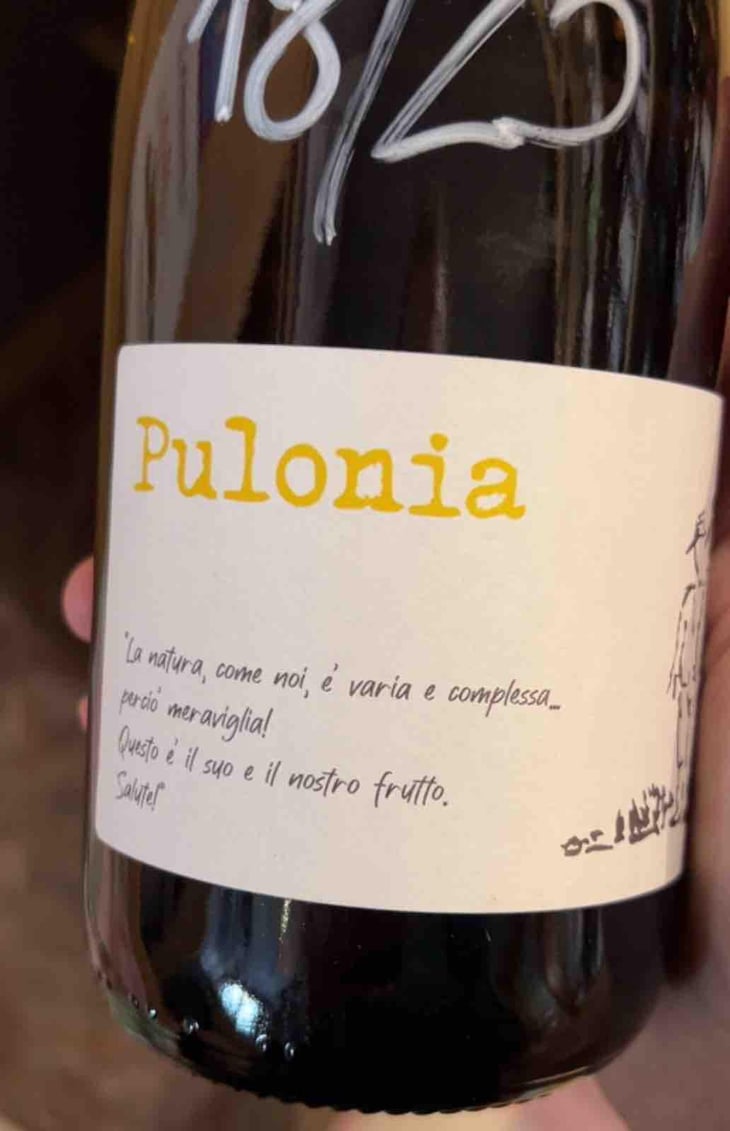 Pulonia - Angol d'Amig - Marco Lanzotti 