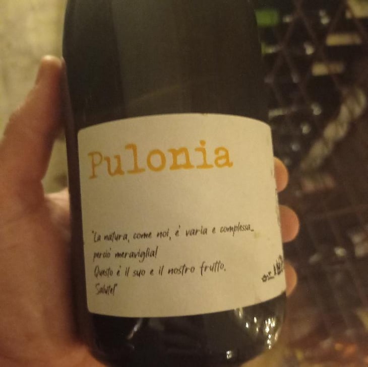 Pulonia - Angol d'Amig - Marco Lanzotti 