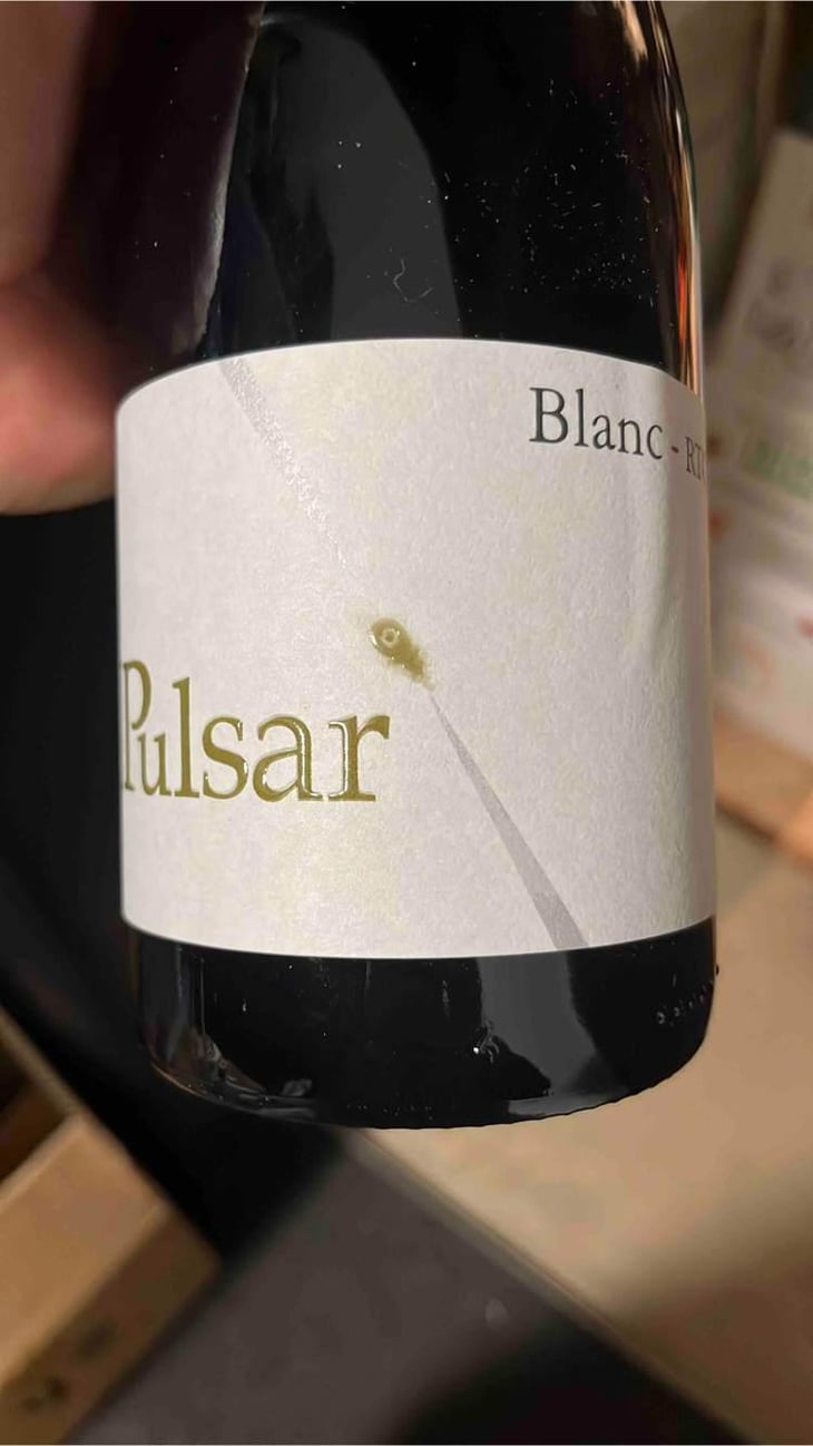 Pulsar - Profil - Roberto Ferrari -2017