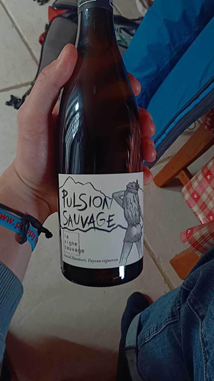 Pulsion Sauvage - La Vigne Sauvage - David Humbert 