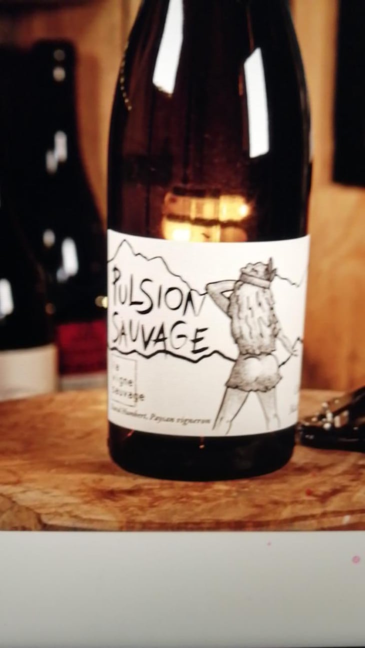 Pulsion Sauvage - La Vigne Sauvage - David Humbert 