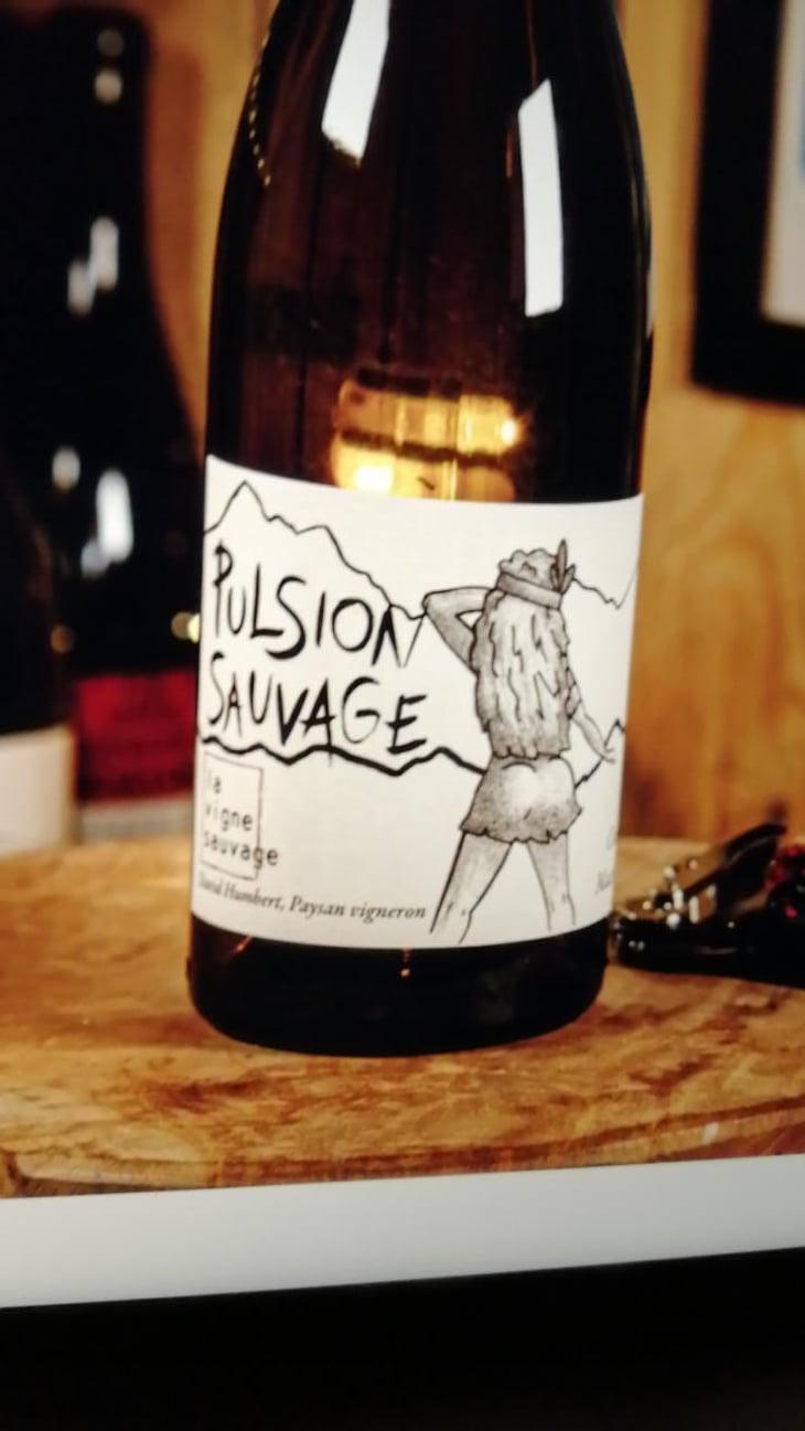 Pulsion Sauvage - La Vigne Sauvage - David Humbert 